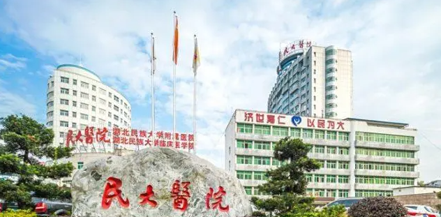湖北民族大学附属民大医院